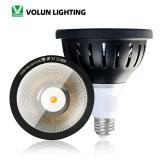 3000K 5000K IP65 waterproof led spot light  par38